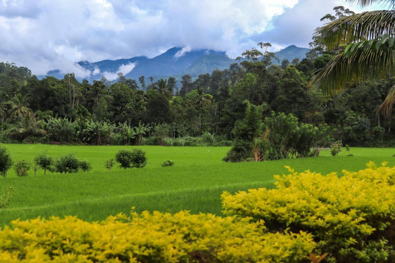Ella Nature Valley Homestay Buitenkant foto