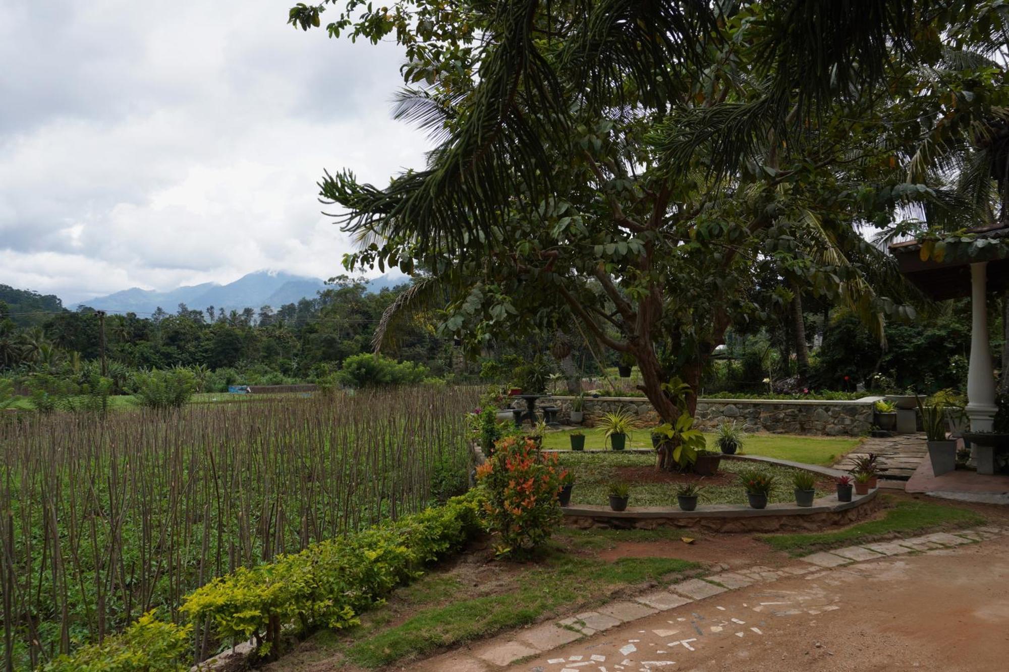 Ella Nature Valley Homestay Buitenkant foto