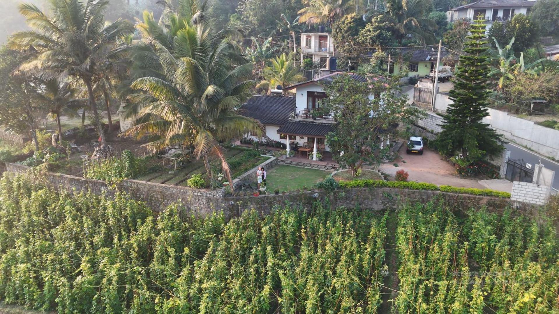 Ella Nature Valley Homestay Buitenkant foto