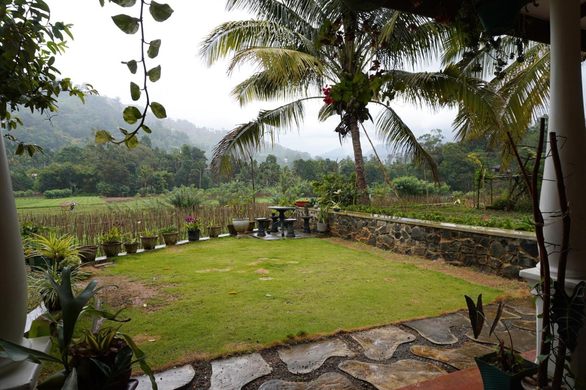 Ella Nature Valley Homestay Buitenkant foto