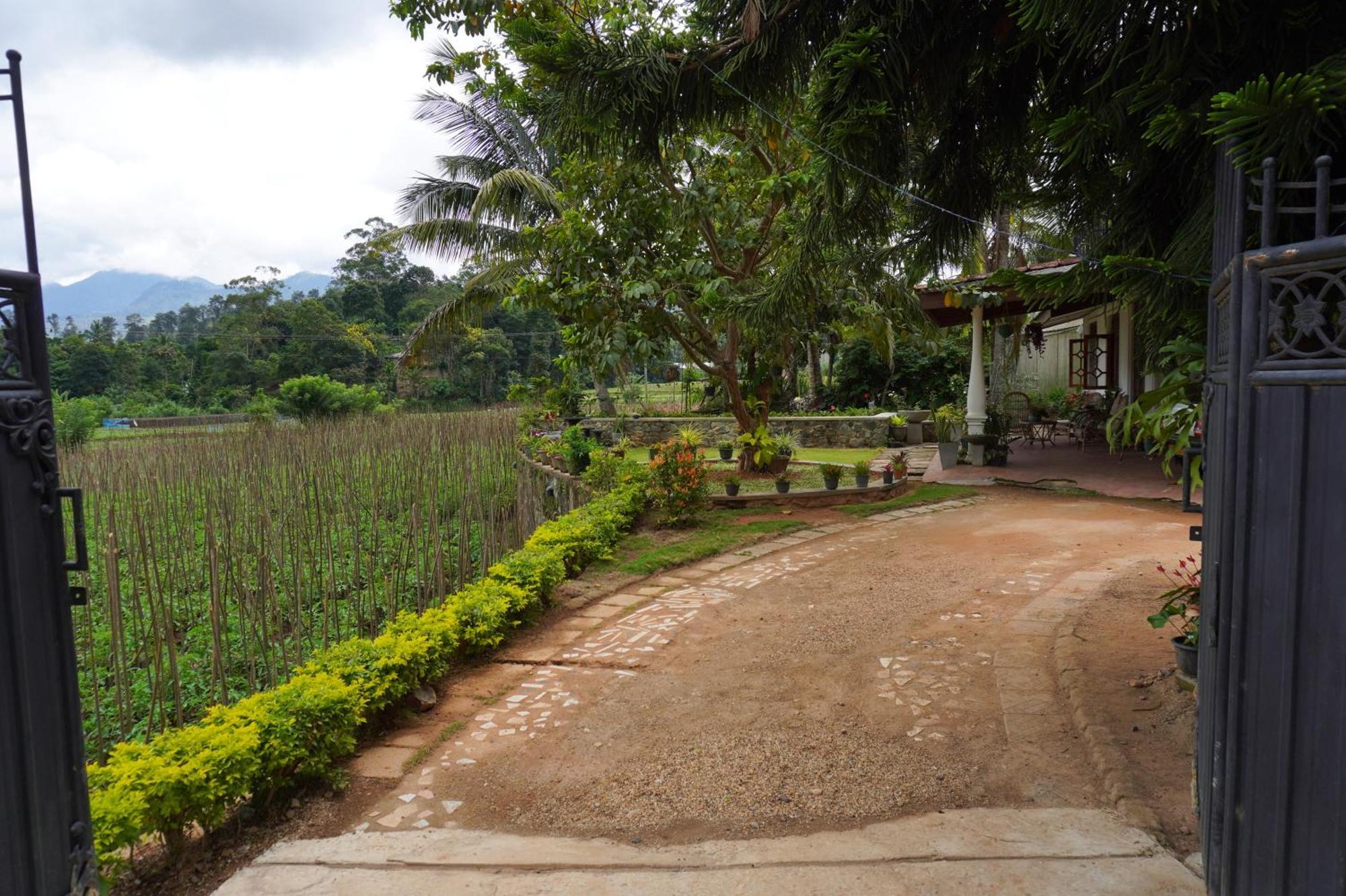 Ella Nature Valley Homestay Buitenkant foto