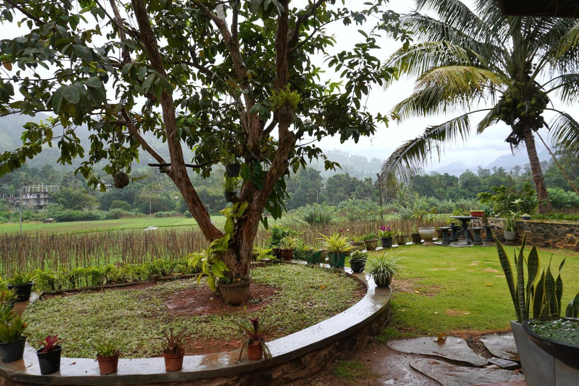 Ella Nature Valley Homestay Buitenkant foto