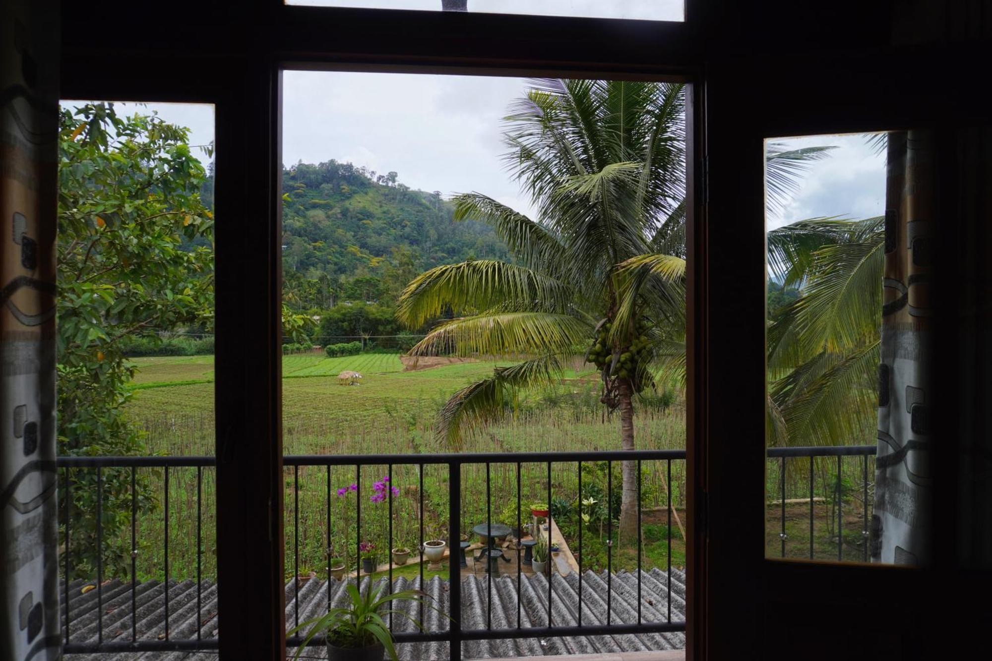 Ella Nature Valley Homestay Buitenkant foto