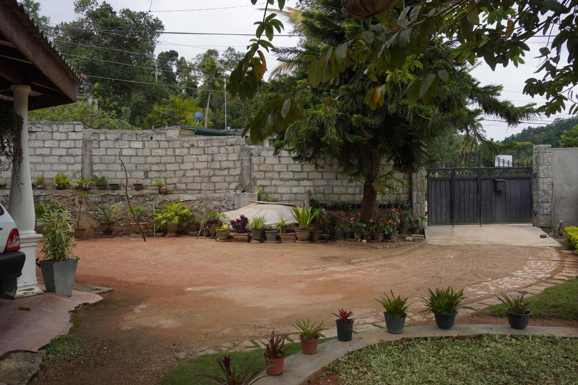 Ella Nature Valley Homestay Buitenkant foto