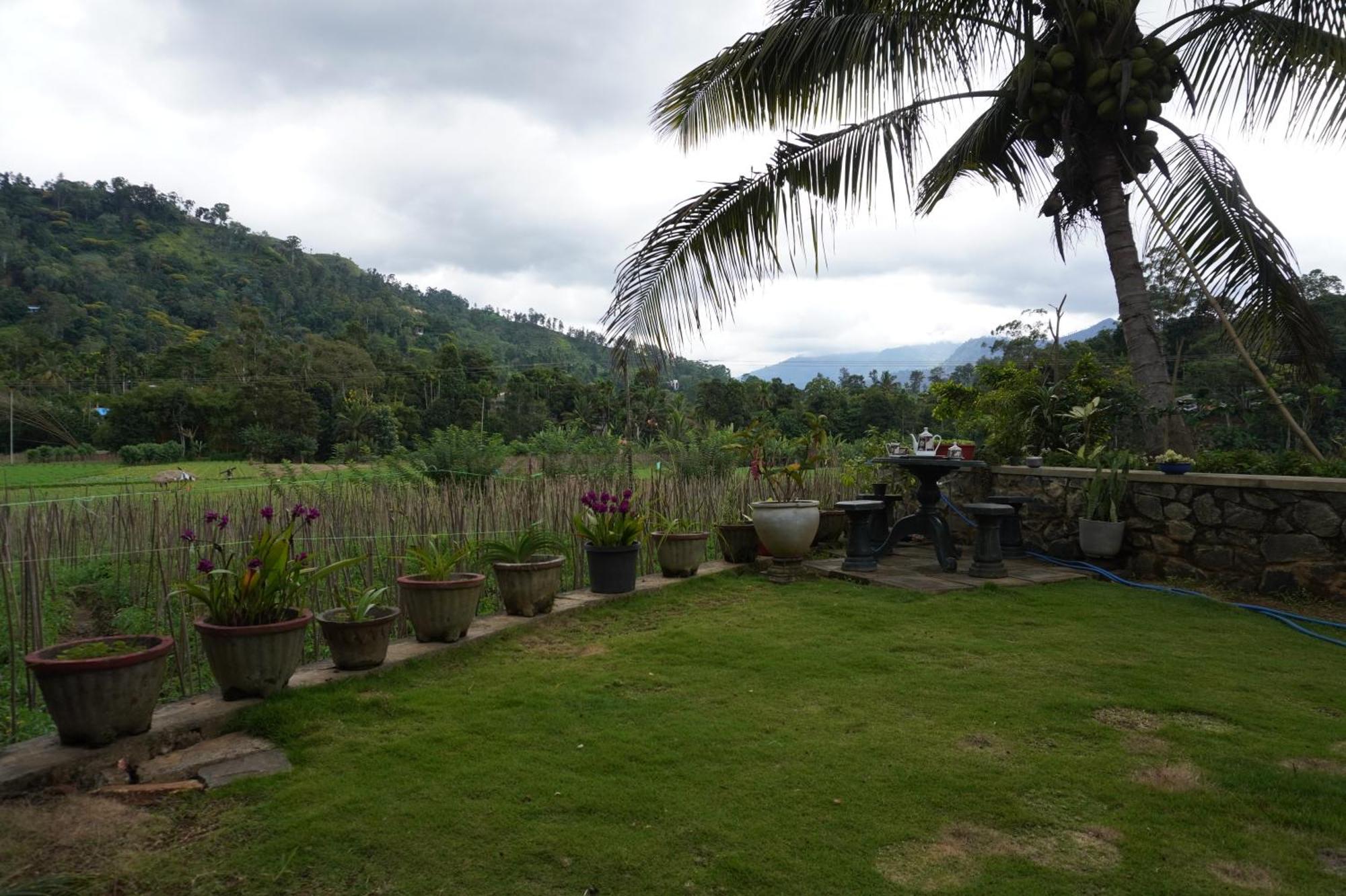 Ella Nature Valley Homestay Buitenkant foto