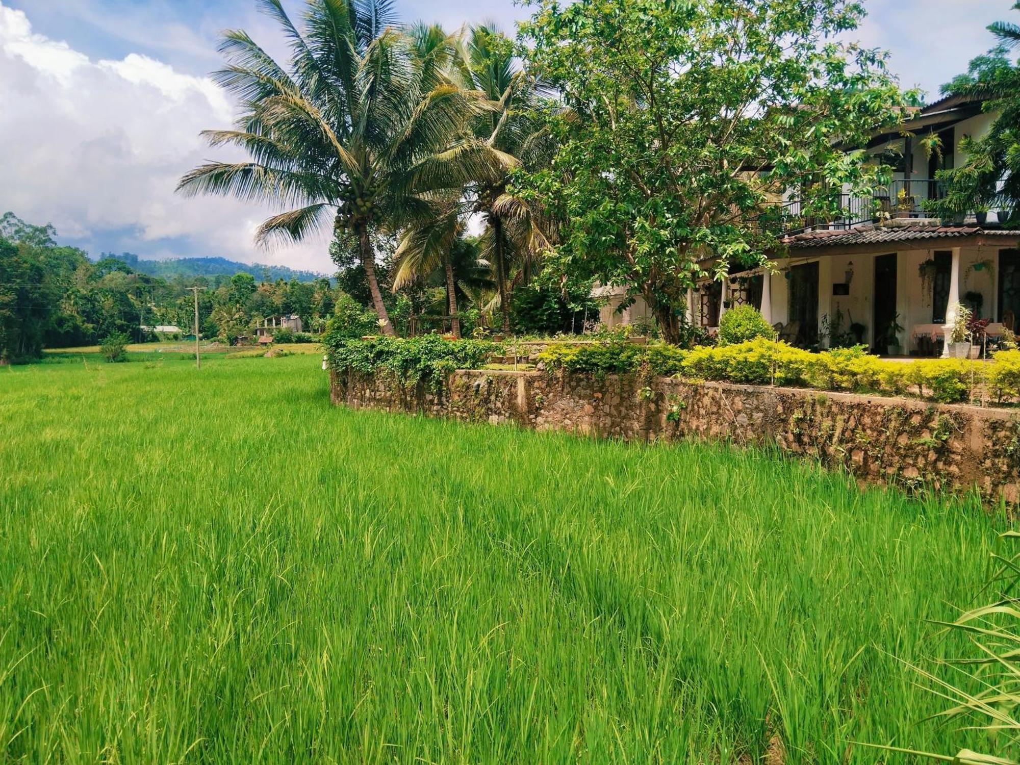 Ella Nature Valley Homestay Buitenkant foto