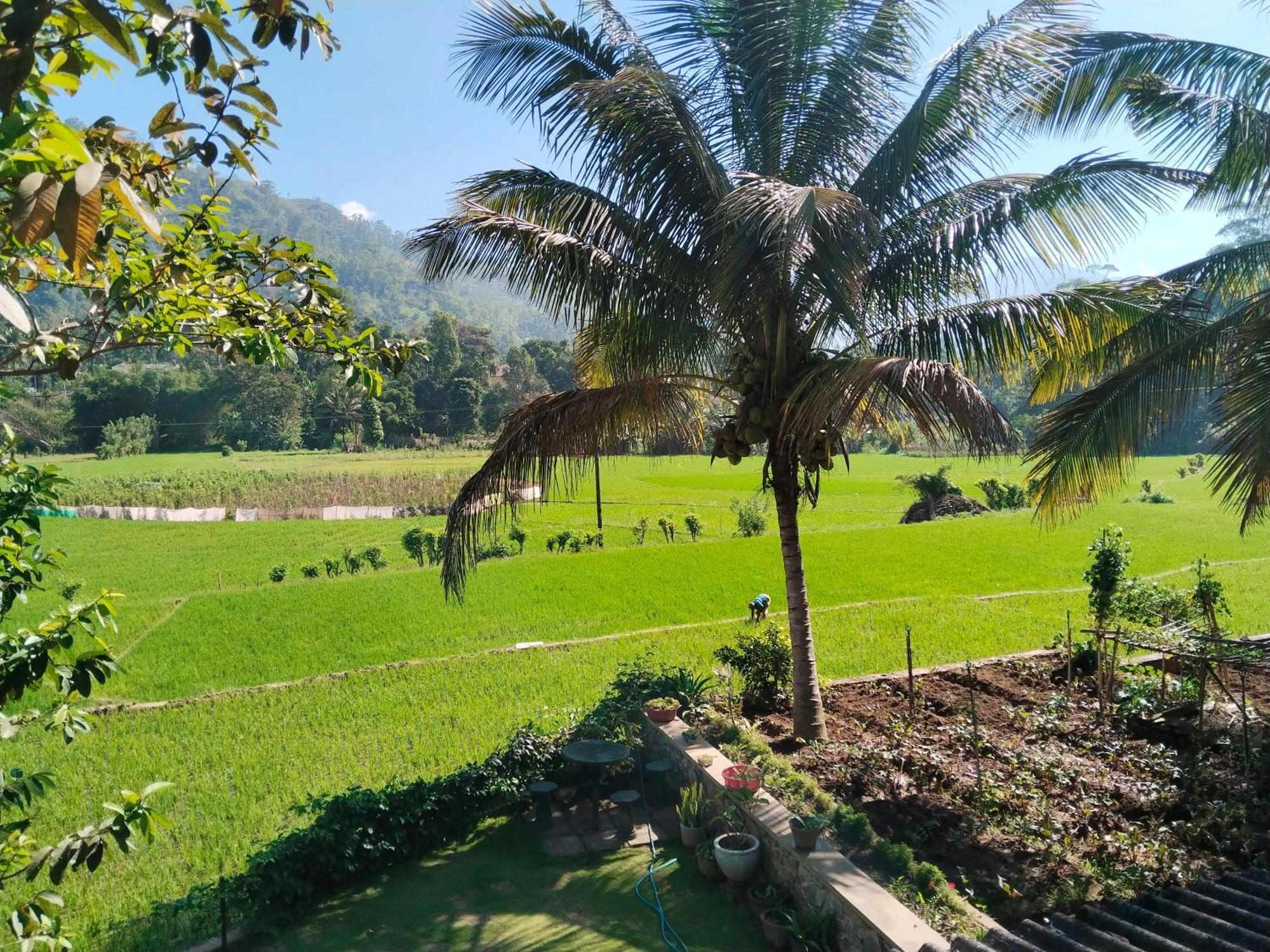 Ella Nature Valley Homestay Buitenkant foto