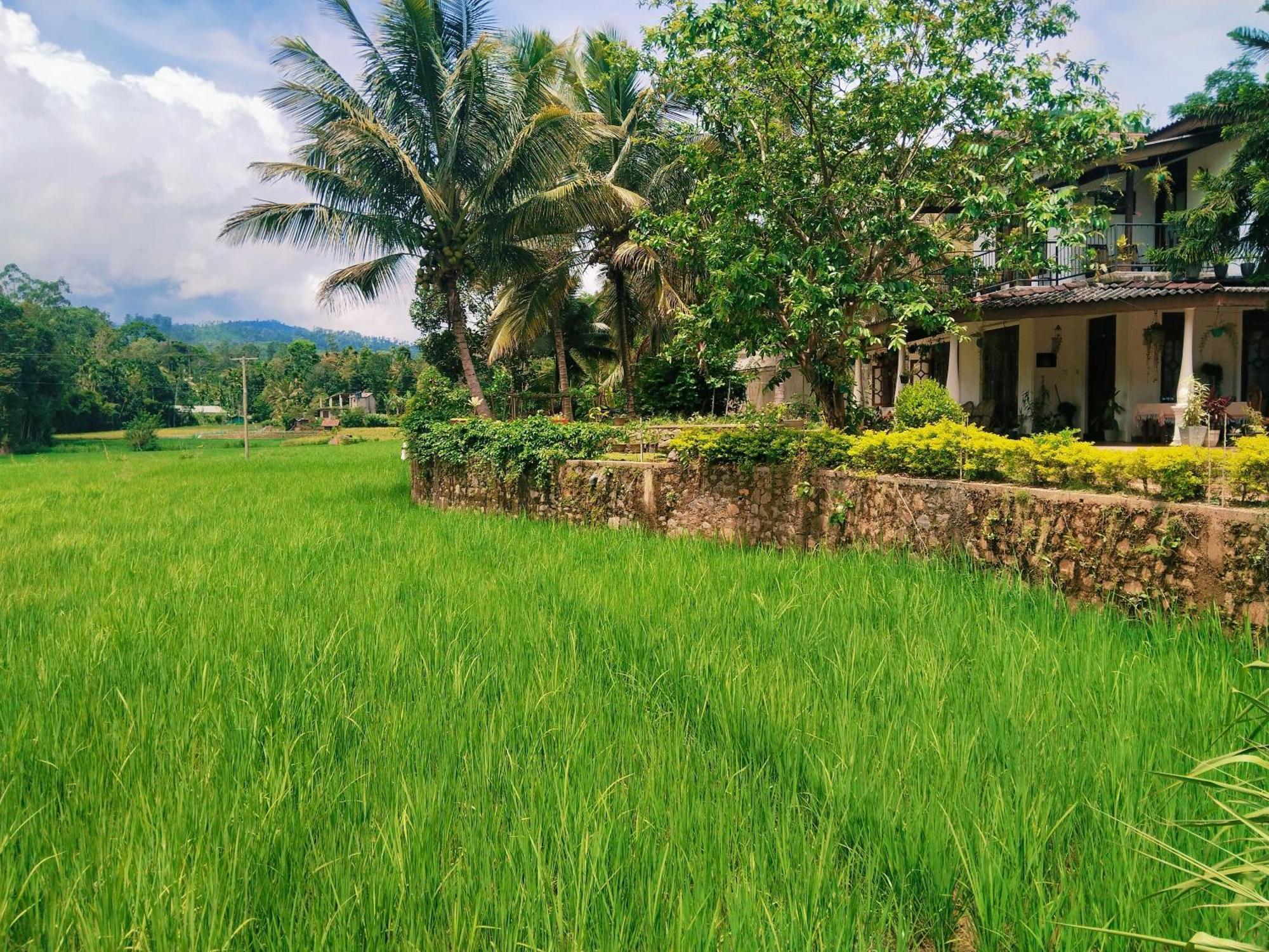 Ella Nature Valley Homestay Buitenkant foto
